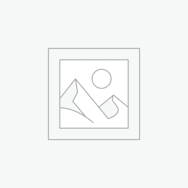 Rothco Molle Plate Carrier Vest